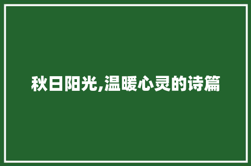 秋日阳光,温暖心灵的诗篇