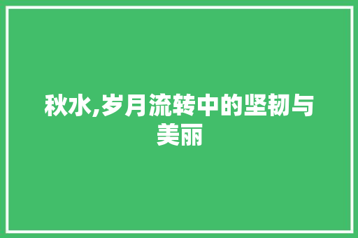 秋水,岁月流转中的坚韧与美丽