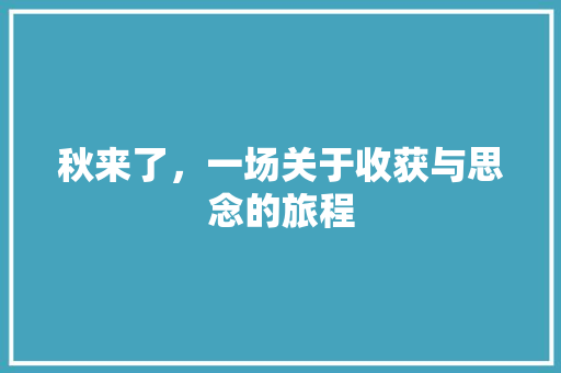 秋来了，一场关于收获与思念的旅程