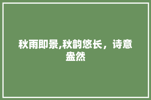 秋雨即景,秋韵悠长，诗意盎然