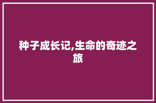 种子成长记,生命的奇迹之旅