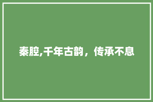 秦腔,千年古韵，传承不息