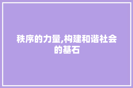 秩序的力量,构建和谐社会的基石 书信范文