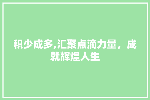 积少成多,汇聚点滴力量，成就辉煌人生