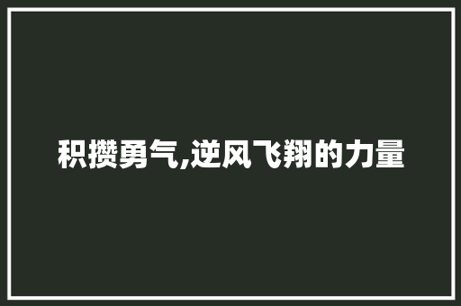 积攒勇气,逆风飞翔的力量