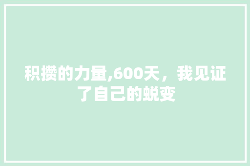 积攒的力量,600天，我见证了自己的蜕变