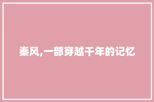 秦风,一部穿越千年的记忆