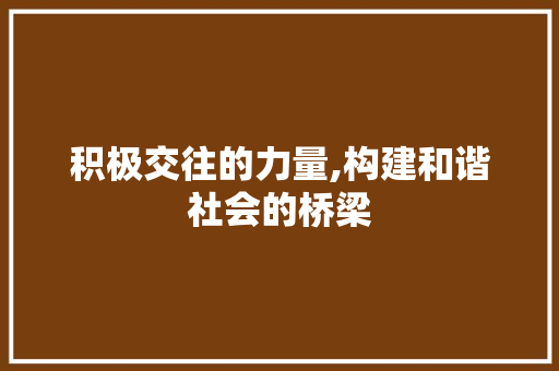 积极交往的力量,构建和谐社会的桥梁