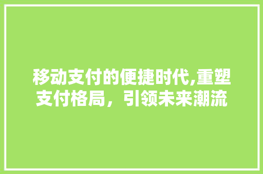 移动支付的便捷时代,重塑支付格局，引领未来潮流