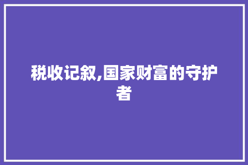 税收记叙,国家财富的守护者