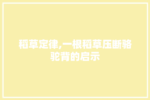 稻草定律,一根稻草压断骆驼背的启示