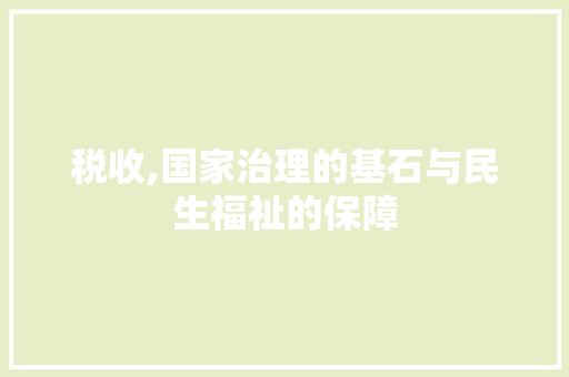 税收,国家治理的基石与民生福祉的保障