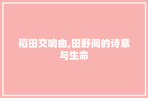 稻田交响曲,田野间的诗意与生命