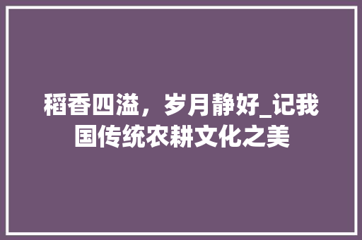 稻香四溢，岁月静好_记我国传统农耕文化之美