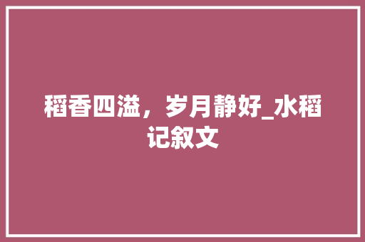 稻香四溢，岁月静好_水稻记叙文