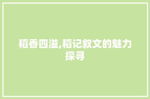 稻香四溢,稻记叙文的魅力探寻