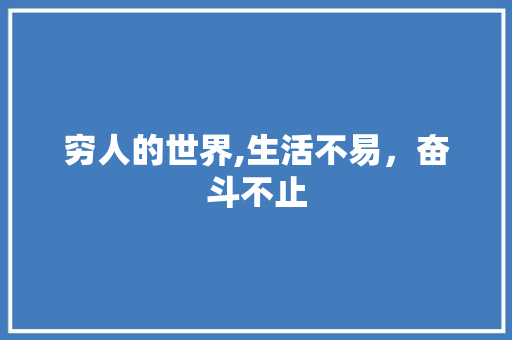 穷人的世界,生活不易，奋斗不止