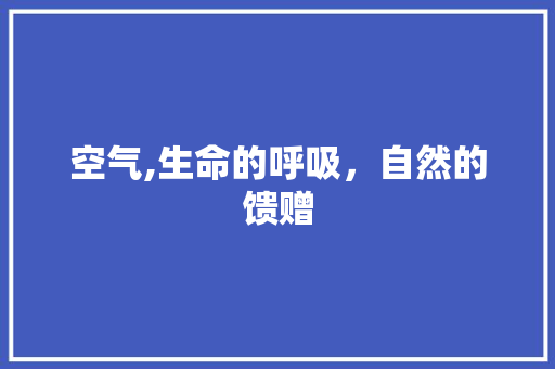 空气,生命的呼吸，自然的馈赠 会议纪要范文