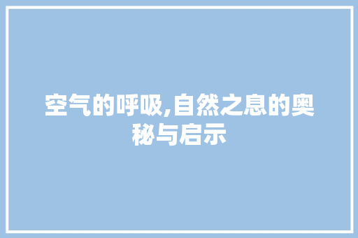 空气的呼吸,自然之息的奥秘与启示