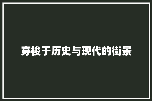 穿梭于历史与现代的街景