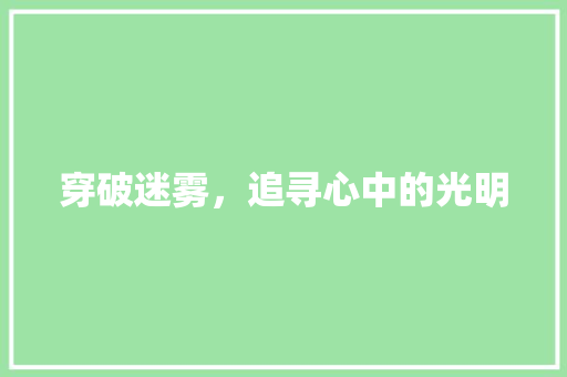 穿破迷雾，追寻心中的光明