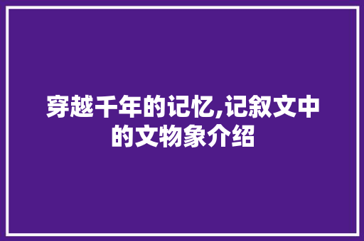 穿越千年的记忆,记叙文中的文物象介绍