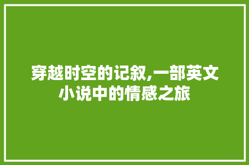 穿越时空的记叙,一部英文小说中的情感之旅