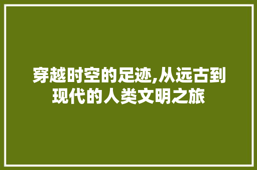 穿越时空的足迹,从远古到现代的人类文明之旅