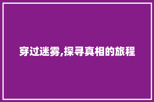 穿过迷雾,探寻真相的旅程 申请书范文