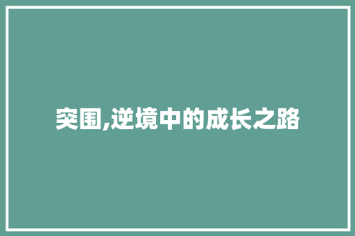 突围,逆境中的成长之路