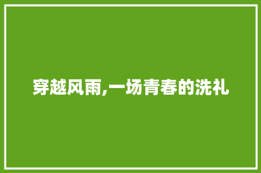 穿越风雨,一场青春的洗礼 工作总结范文