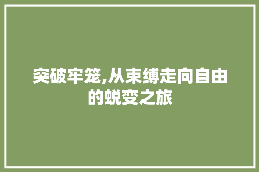 突破牢笼,从束缚走向自由的蜕变之旅