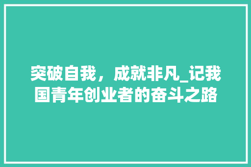 突破自我，成就非凡_记我国青年创业者的奋斗之路