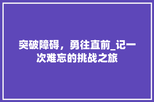 突破障碍，勇往直前_记一次难忘的挑战之旅