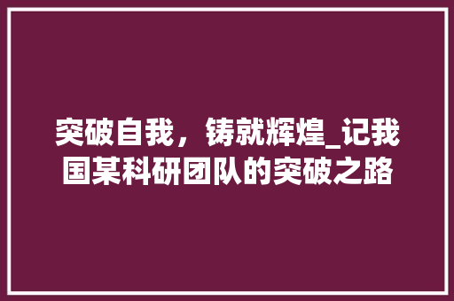 突破自我，铸就辉煌_记我国某科研团队的突破之路