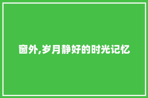 窗外,岁月静好的时光记忆