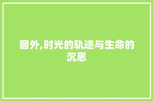 窗外,时光的轨迹与生命的沉思