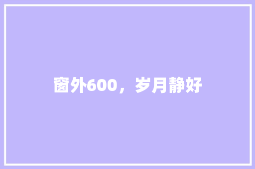 窗外600，岁月静好