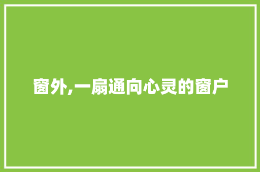 窗外,一扇通向心灵的窗户