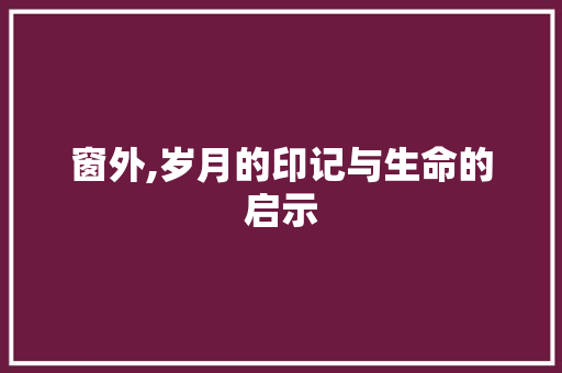 窗外,岁月的印记与生命的启示