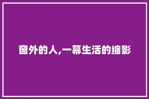 窗外的人,一幕生活的缩影