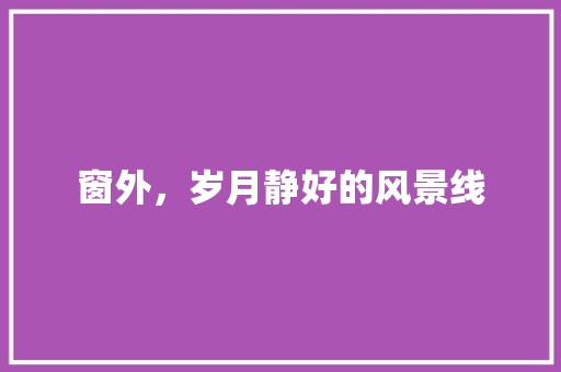 窗外，岁月静好的风景线