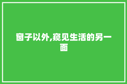 窗子以外,窥见生活的另一面