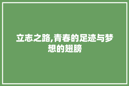 立志之路,青春的足迹与梦想的翅膀