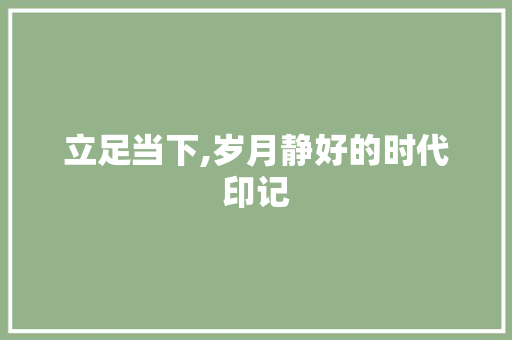 立足当下,岁月静好的时代印记