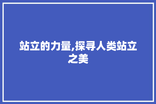 站立的力量,探寻人类站立之美