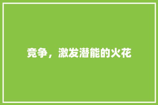 竞争，激发潜能的火花