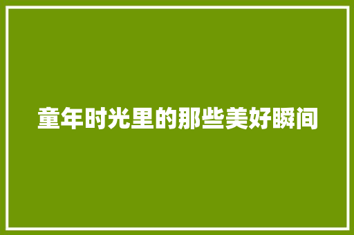 童年时光里的那些美好瞬间 申请书范文