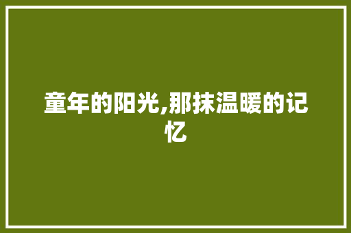 童年的阳光,那抹温暖的记忆