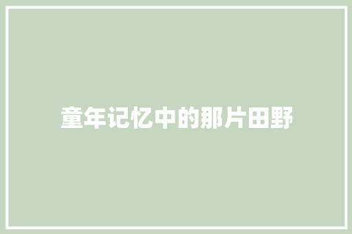 童年记忆中的那片田野